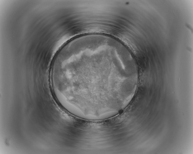 X0000091291086200708171339