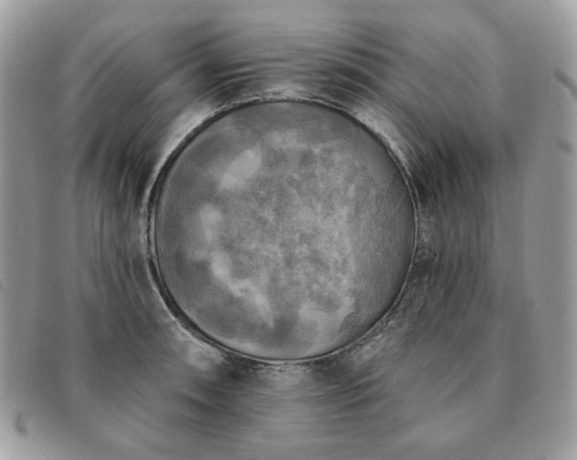 X0000091291090200708171339