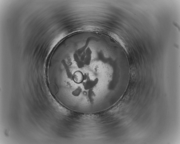 X0000091291091200708171339