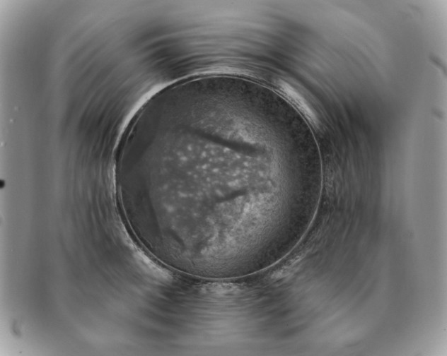 X0000091291092200708171339