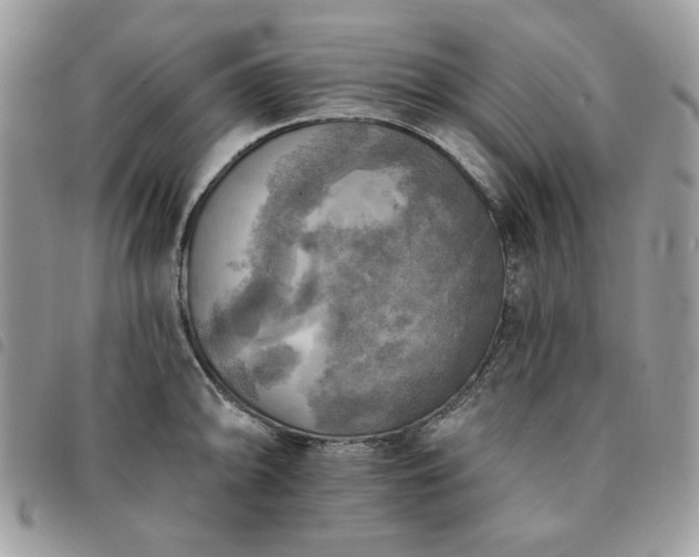 X0000091291094200708171339