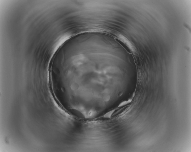 X0000091291095200708171339