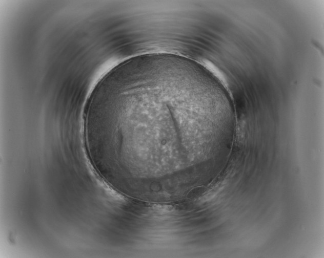 X0000091291096200708171339