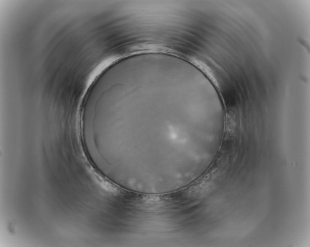 X0000091291098200708171339