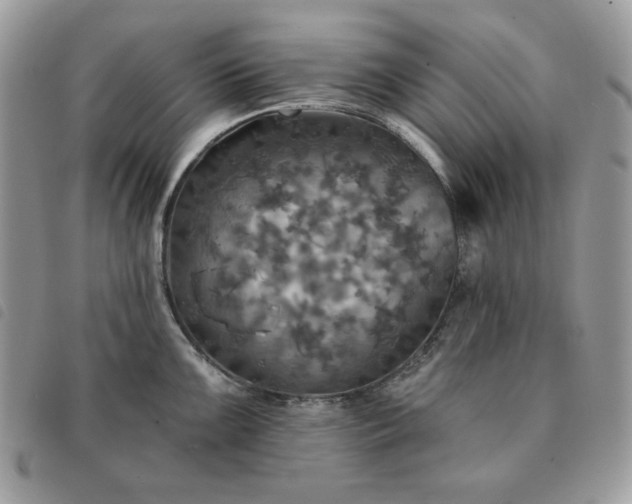 X0000091291099200708171339