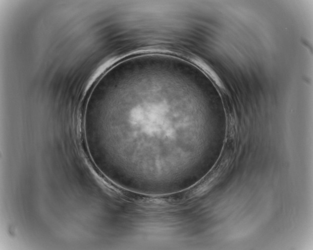 X0000091291101200708171339