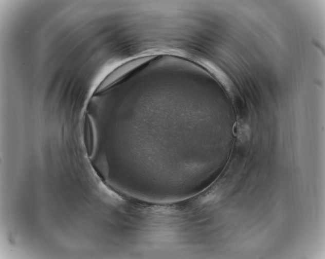 X0000091291102200708171339