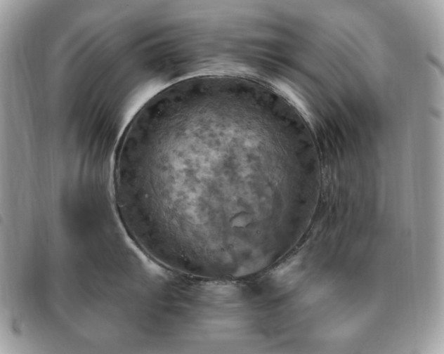 X0000091291103200708171339