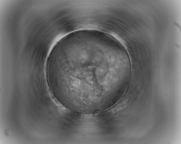 X0000091291104200708171339