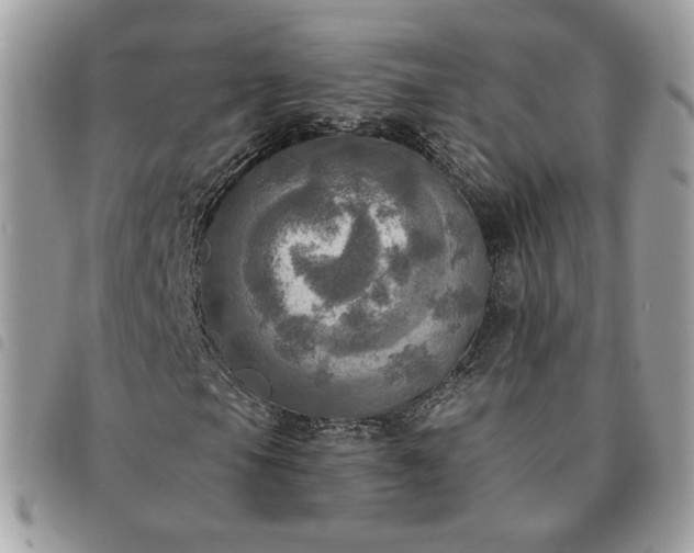 X0000091291105200708171338