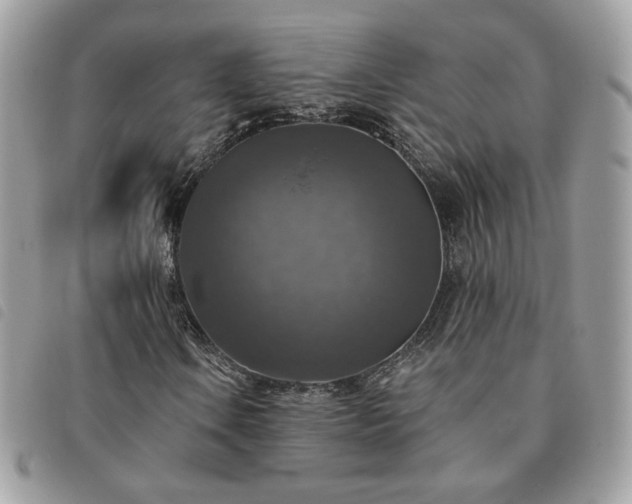 X0000091291106200708171338