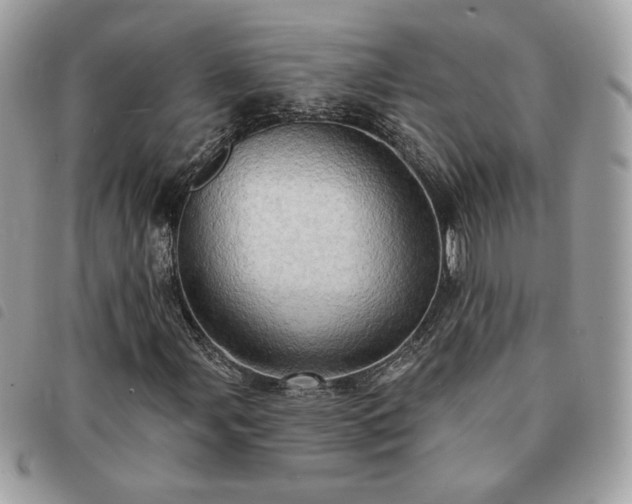 X0000091291107200708171338