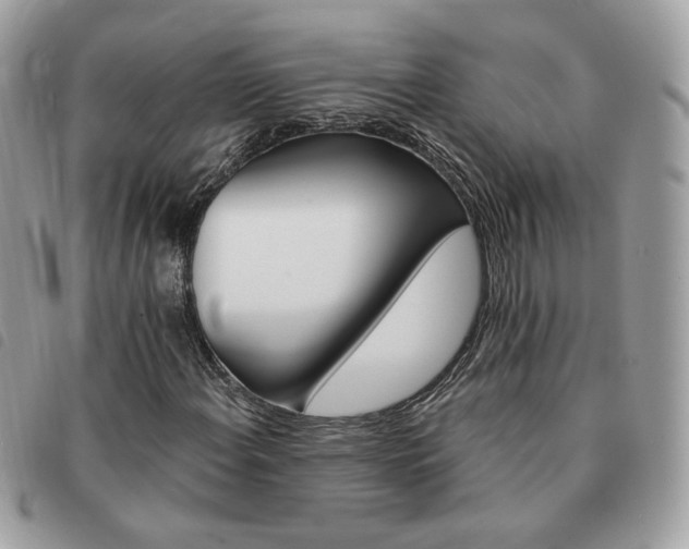 X0000091291108200708171338