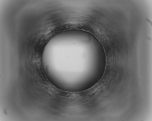 X0000091291109200708171338