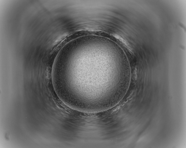 X0000091291110200708171339