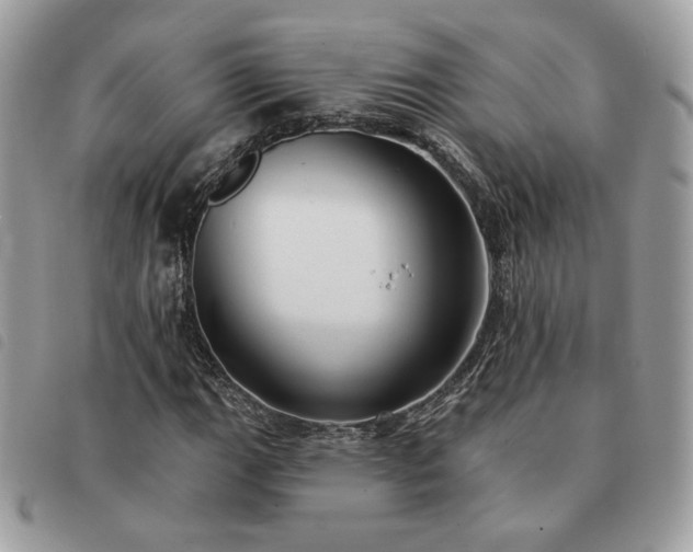 X0000091291111200708171339