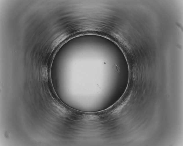 X0000091291113200708171339