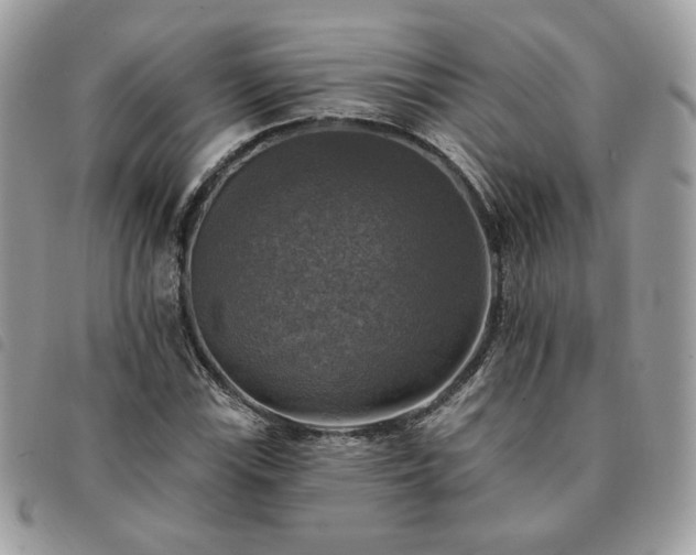 X0000091291115200708171339