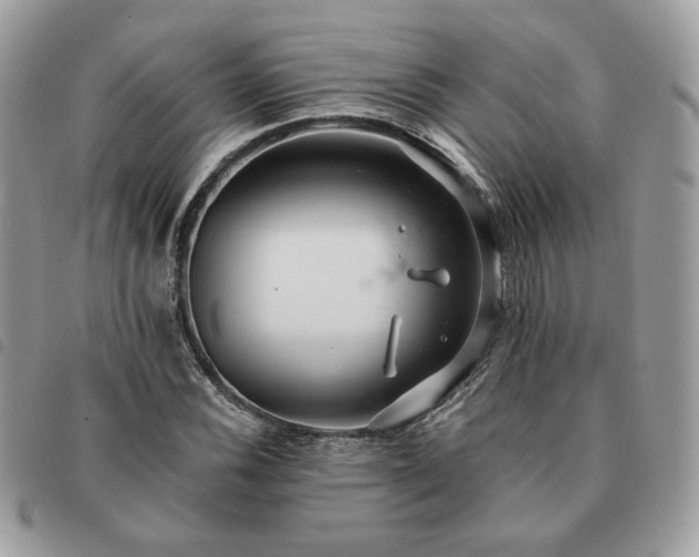 X0000091291116200708171339