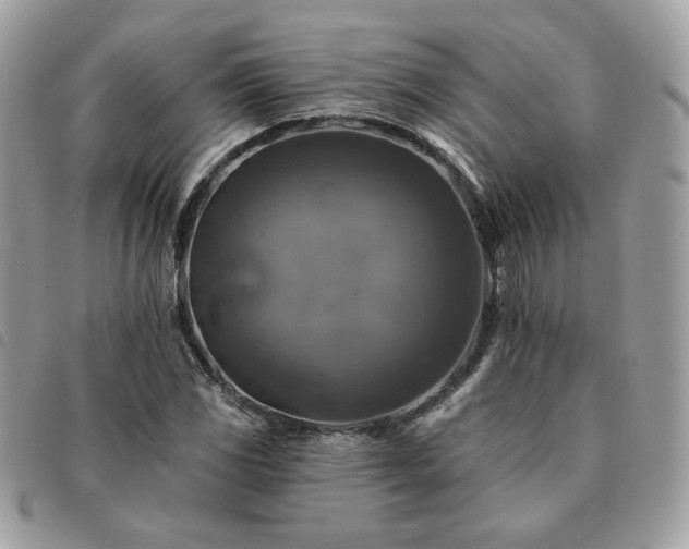 X0000091291117200708171339