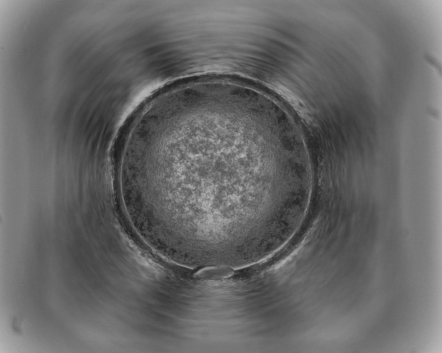 X0000091291118200708171339