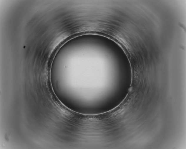 X0000091291119200708171339