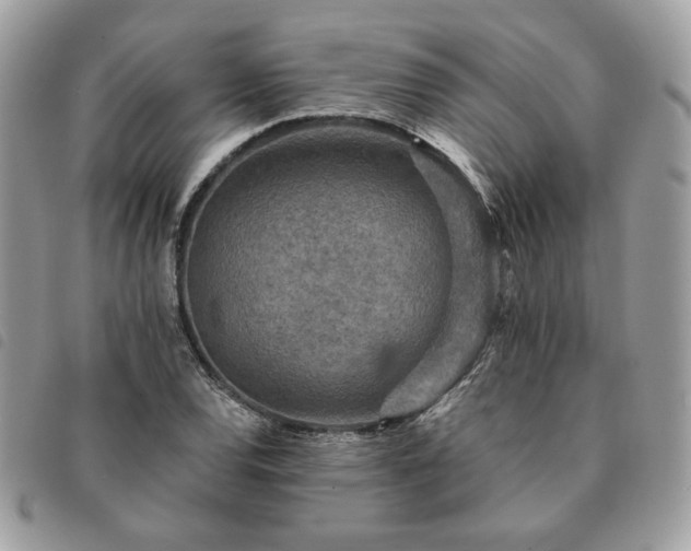 X0000091291120200708171339