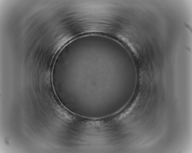 X0000091291121200708171339