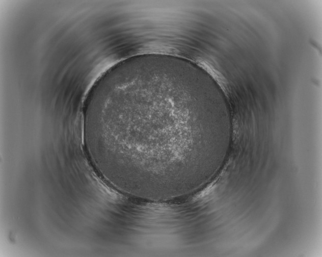 X0000091291123200708171339