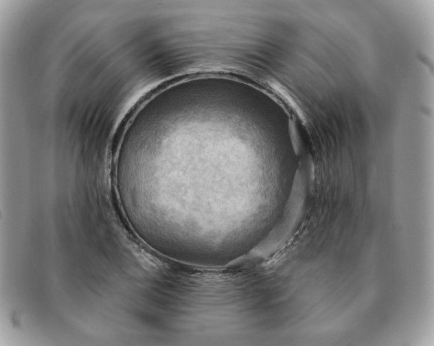 X0000091291124200708171339