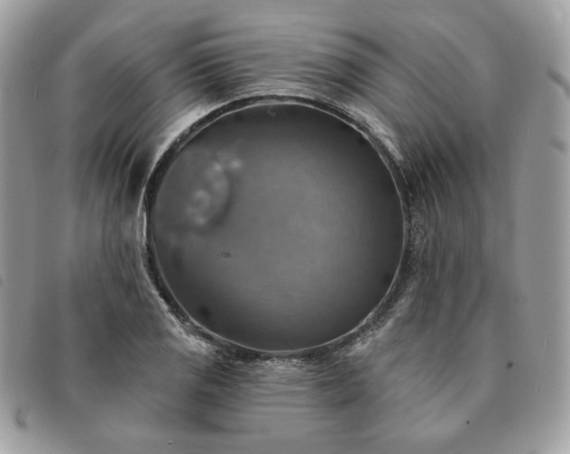 X0000091291125200708171339