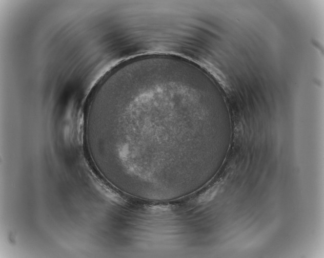 X0000091291126200708171339