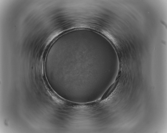 X0000091291127200708171339