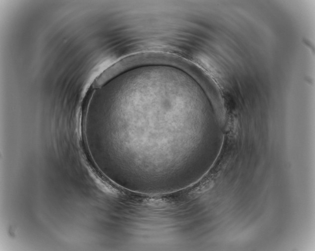 X0000091291128200708171339