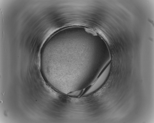 X0000091291132200708171339