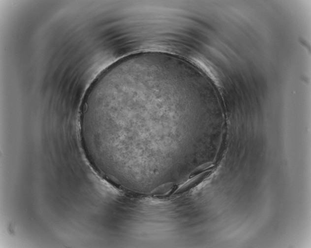 X0000091291133200708171339