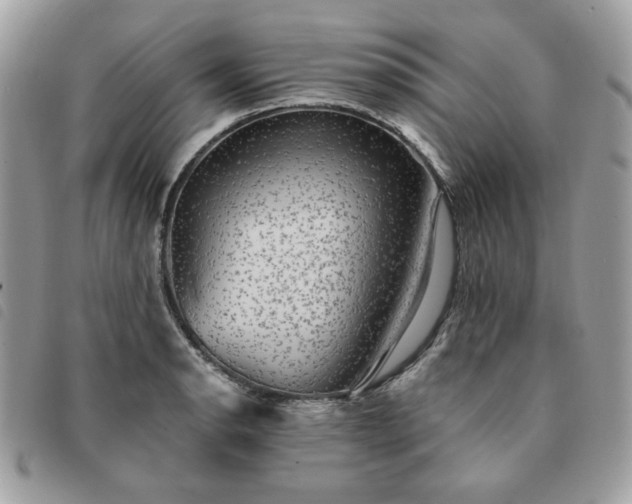 X0000091291134200708171339