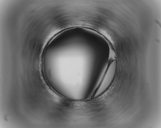 X0000091291136200708171339