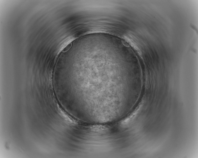 X0000091291137200708171339