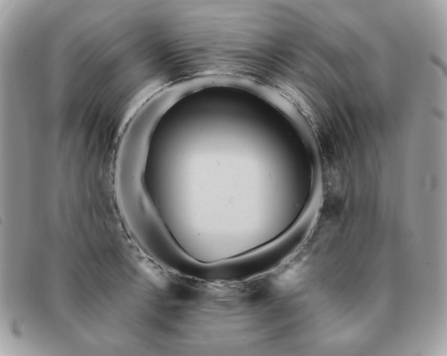 X0000091291138200708171339