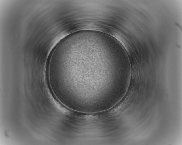 X0000091291139200708171339