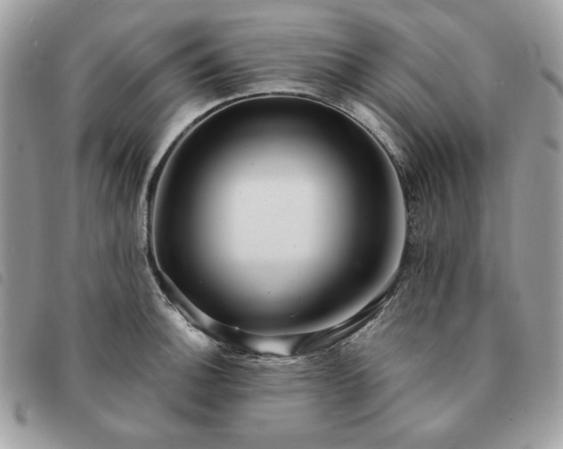 X0000091291140200708171339