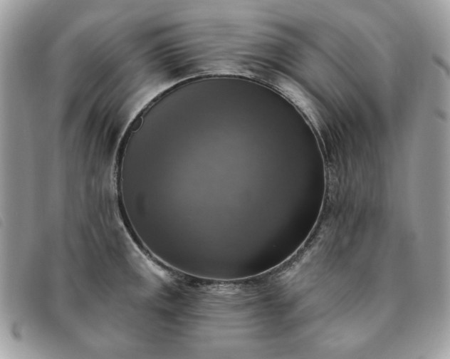 X0000091291141200708171339