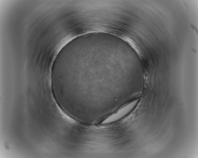 X0000091291143200708171339