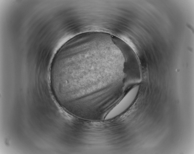 X0000091291144200708171339