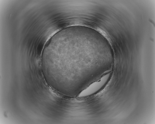 X0000091291145200708171339