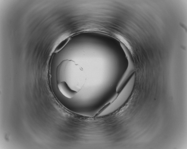 X0000091291146200708171339