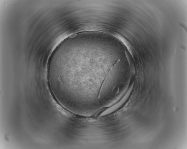 X0000091291147200708171339