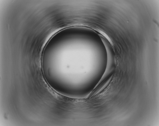 X0000091291148200708171339