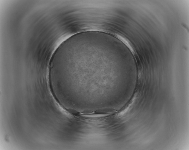 X0000091291149200708171339